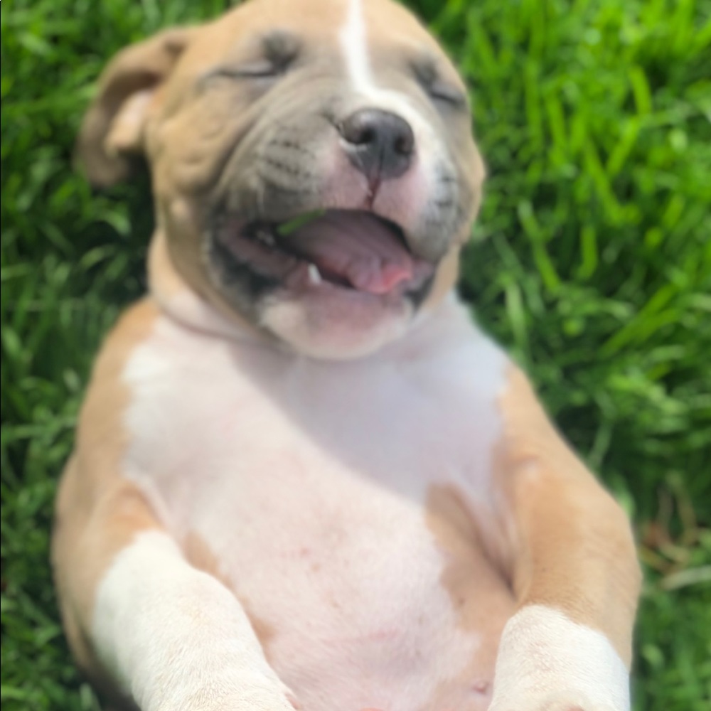 Meet your Posher, Miranda